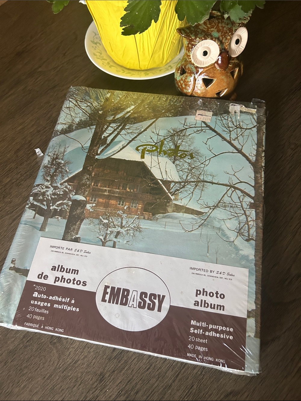 Vintage Embassy Photo Album - Snowy Chalet Cover